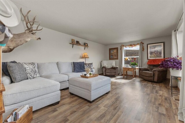 living room featuring wood-type flooring