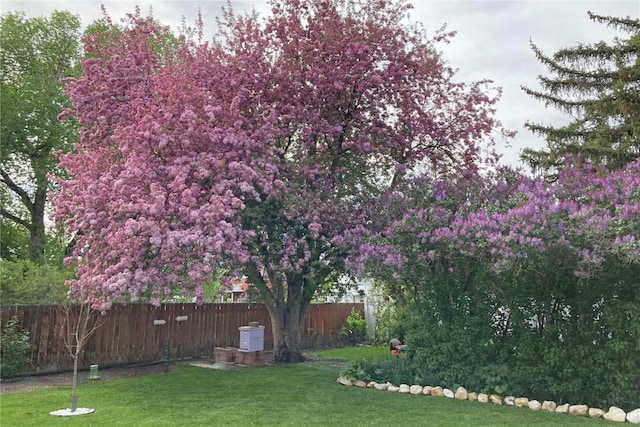 view of yard with a fenced backyard