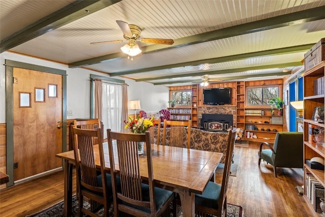 dining room with wood finished floors, a lit fireplace, ceiling fan, beamed ceiling, and a wealth of natural light