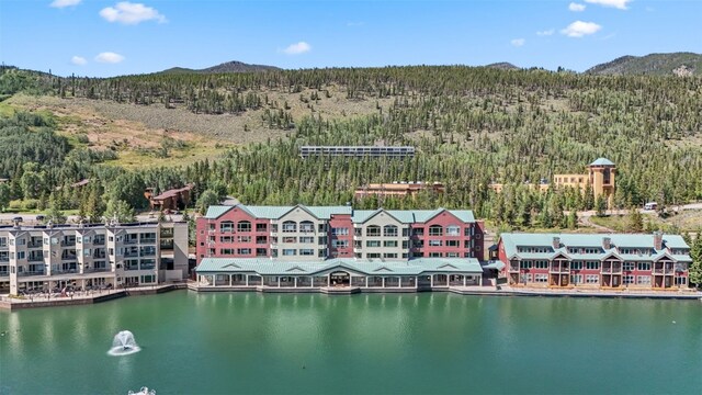 birds eye view of property featuring a water and mountain view