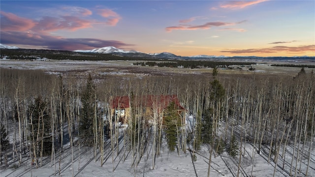 exterior space featuring a mountain view