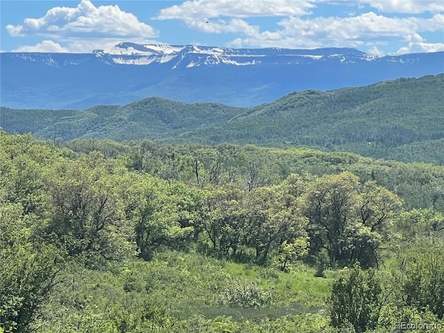 27165 Sundance Trl, Steamboat Springs CO, 80477 land for sale