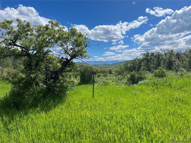 Listing photo 3 for 27165 Sundance Trl, Steamboat Springs CO 80477