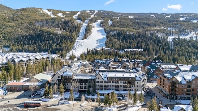 snowy aerial view featuring a wooded view and a mountain view