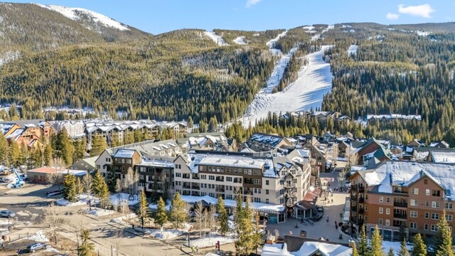 snowy aerial view featuring a view of trees and a mountain view