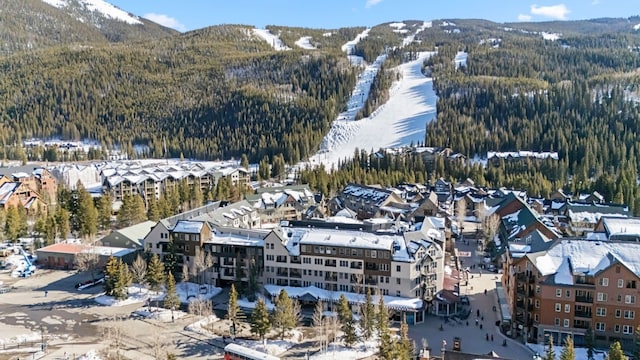 snowy aerial view with a mountain view and a view of trees