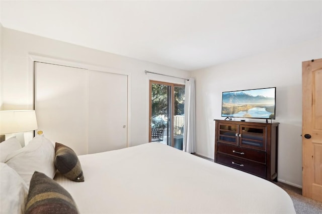 bedroom featuring carpet, access to exterior, and a closet