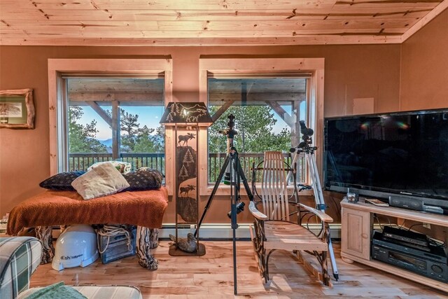 interior space featuring light hardwood / wood-style floors and wood ceiling