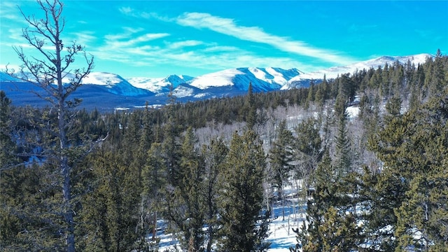 view of mountain feature