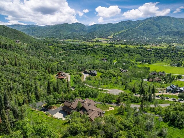 birds eye view of property featuring a mountain view