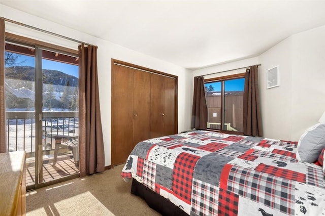 bedroom with access to outside, a closet, light carpet, and multiple windows