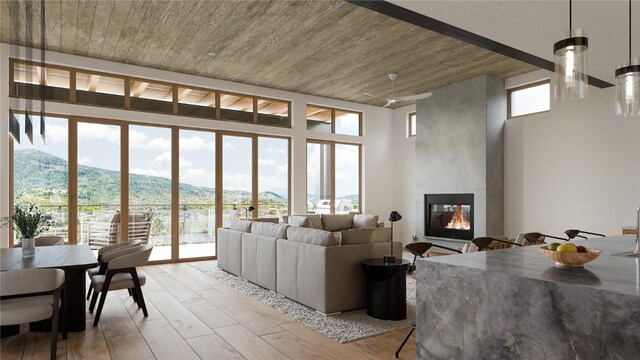 living room featuring a mountain view, light wood-type flooring, a large fireplace, and a wealth of natural light