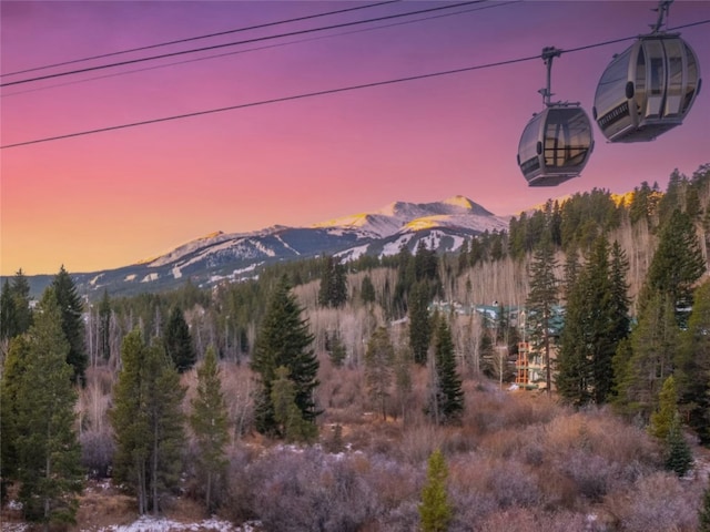 mountain view with a wooded view