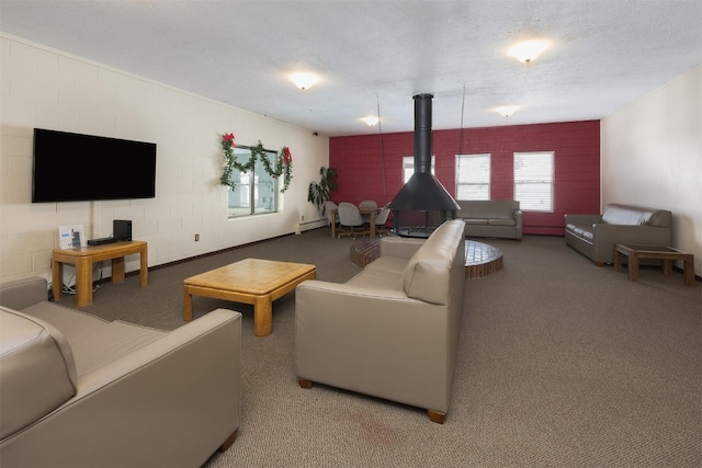 carpeted living room with a textured ceiling, a baseboard radiator, and a wood stove