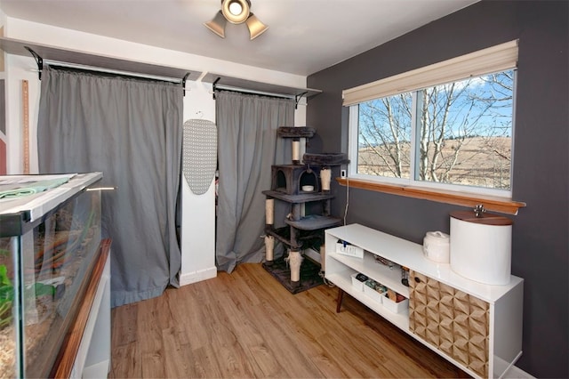 bedroom with hardwood / wood-style floors