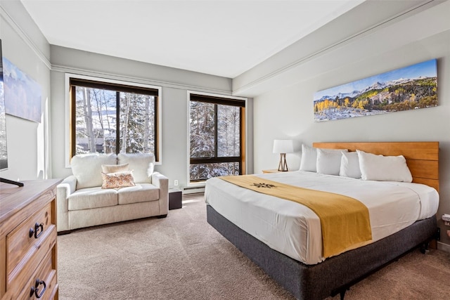 bedroom featuring carpet floors and a baseboard heating unit