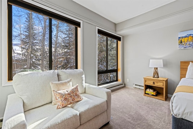 carpeted bedroom with baseboard heating