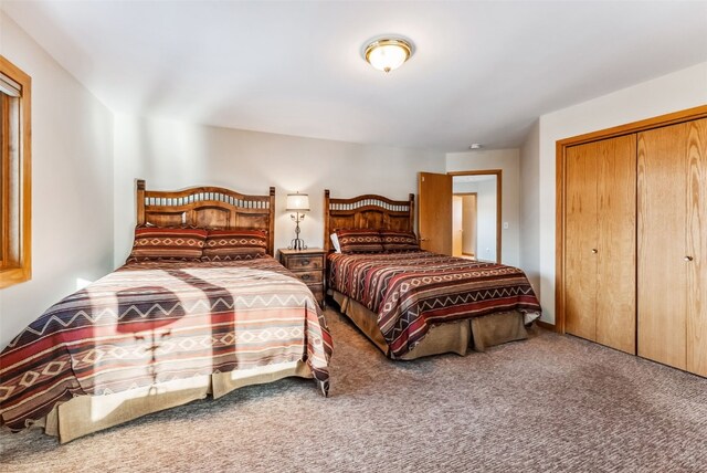 bedroom featuring carpet and a closet