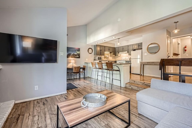 living room with high vaulted ceiling and light hardwood / wood-style flooring