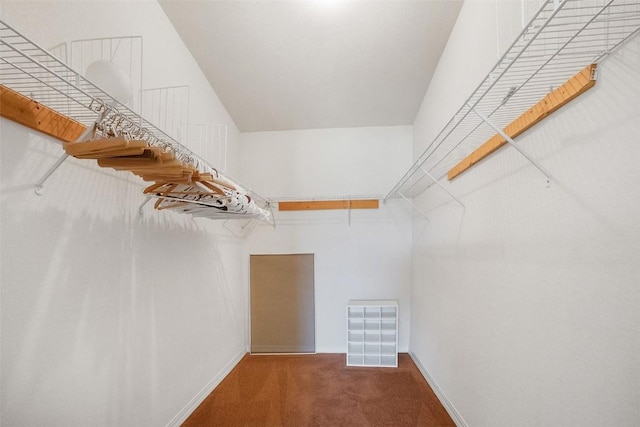 spacious closet featuring carpet flooring