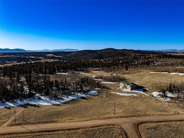 bird's eye view with a mountain view