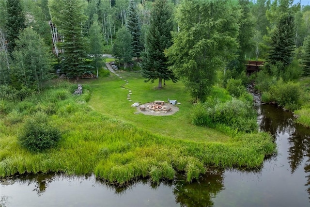 bird's eye view with a water view