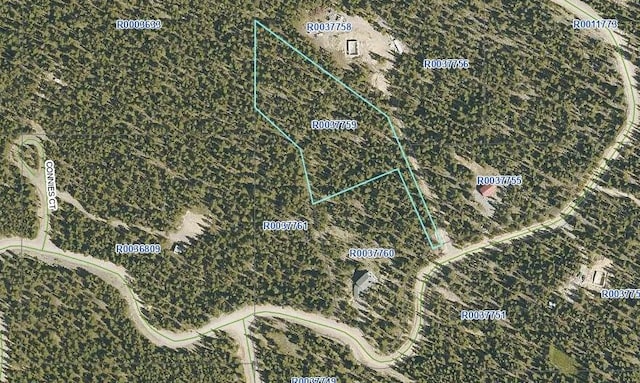 TBD County Road 14-a, Fairplay CO, 80440 land for sale