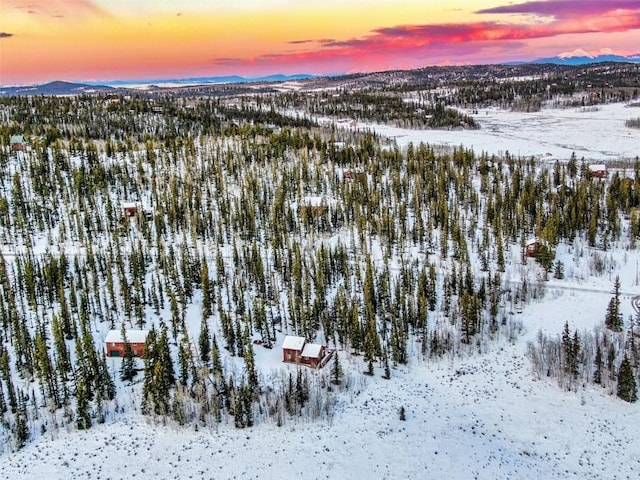 snowy aerial view featuring a mountain view