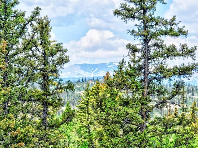 property view of mountains