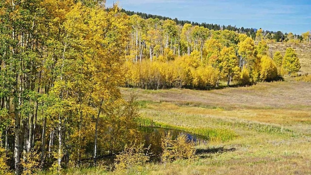 view of landscape