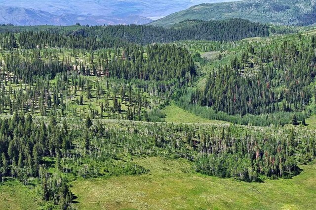 birds eye view of property with a mountain view