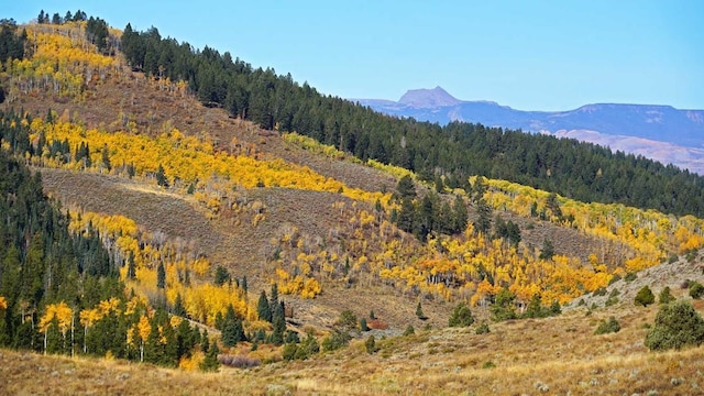 view of mountain feature