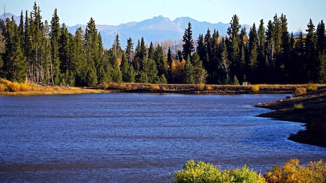 view of water feature featuring a mountain view