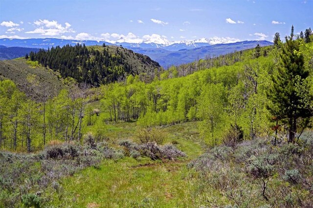 view of mountain feature