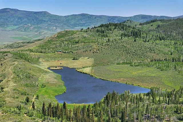 drone / aerial view featuring a water and mountain view