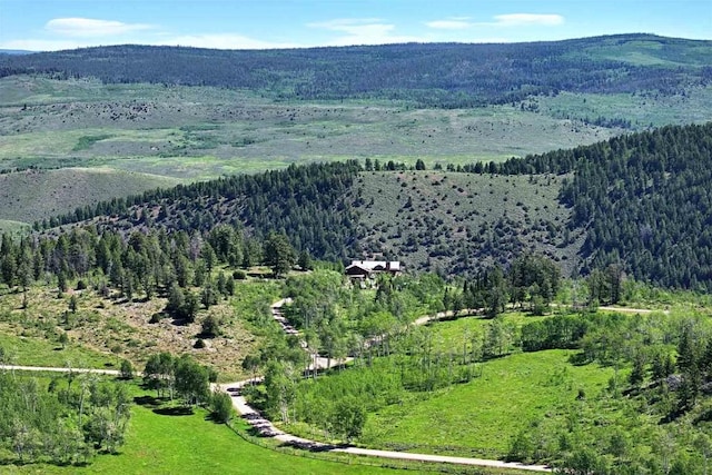 birds eye view of property with a mountain view