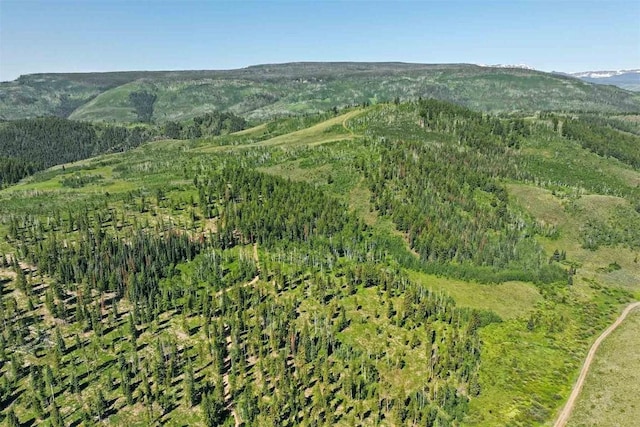 bird's eye view with a mountain view