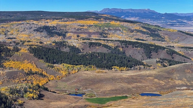 view of mountain feature