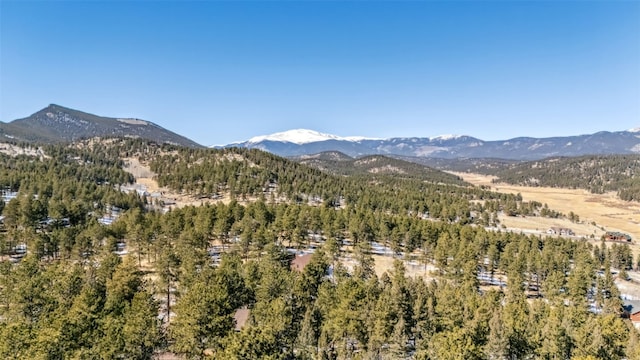 mountain view with a forest view