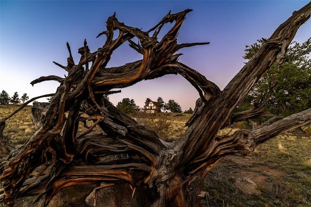 view of nature at dusk