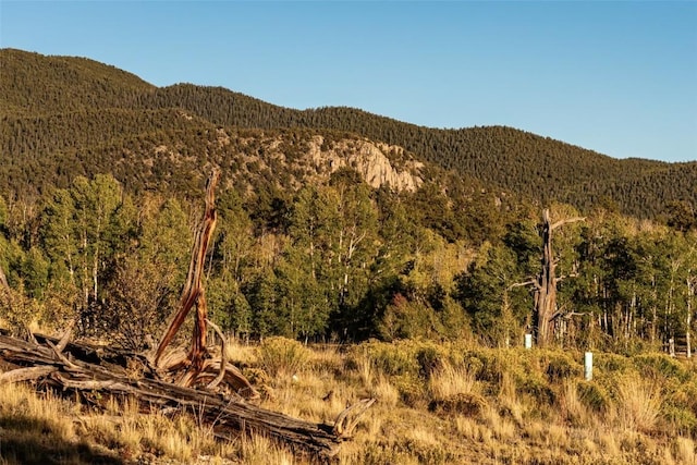 property view of mountains