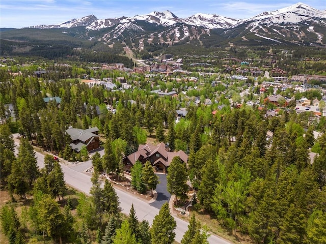 birds eye view of property featuring a mountain view