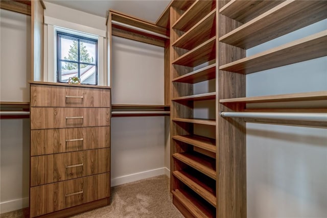 spacious closet featuring light colored carpet