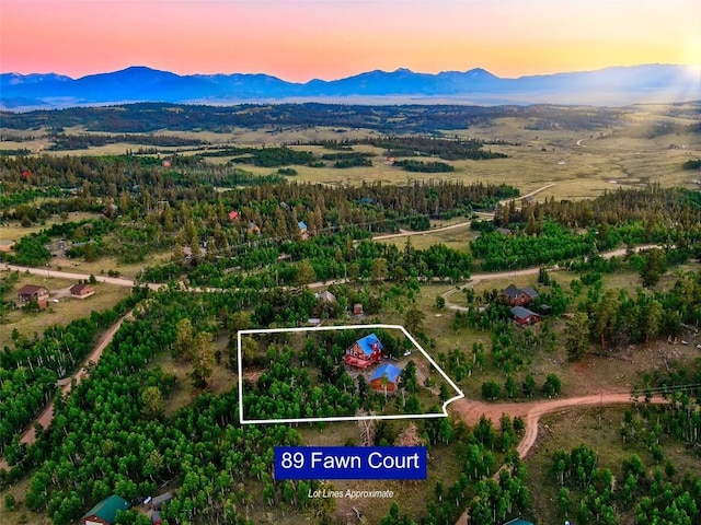 aerial view at dusk with a mountain view