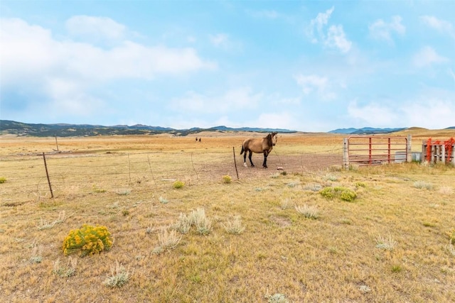 view of yard featuring a mountain view and a rural view