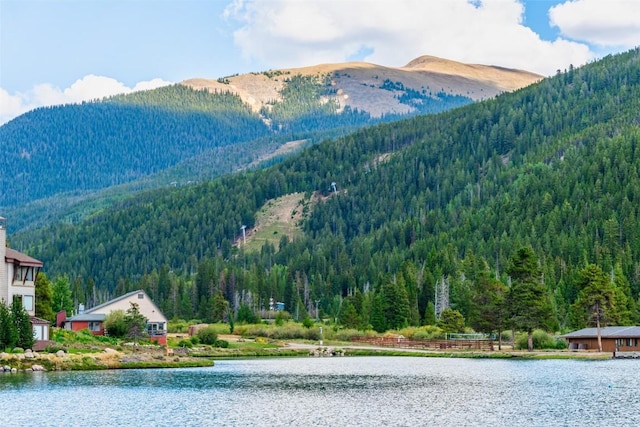 property view of mountains with a forest view and a water view