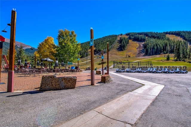 view of home's community with a mountain view