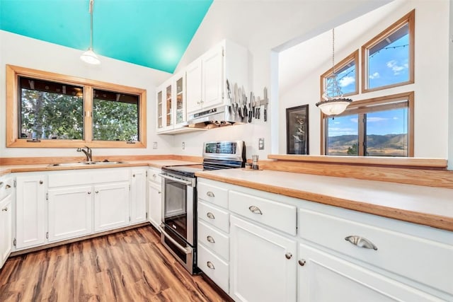 kitchen featuring under cabinet range hood, lofted ceiling, a wealth of natural light, stainless steel electric range, and a sink