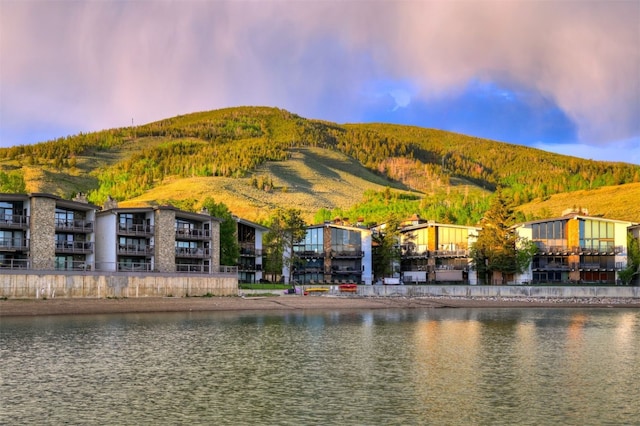 property view of water featuring a mountain view