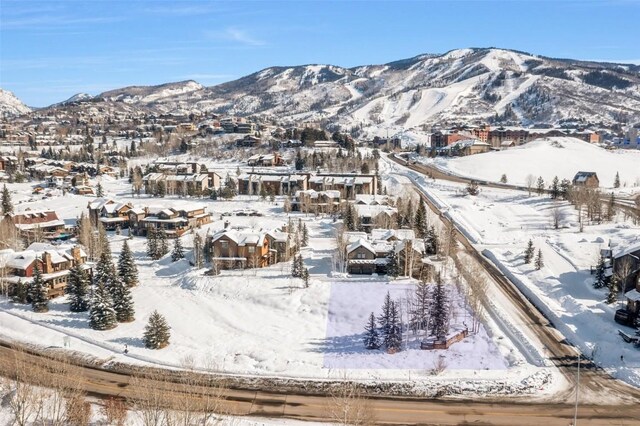 1277 Turning Leaf Ct, Steamboat Springs CO, 80487 land for sale